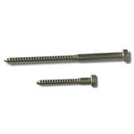 View Lag Screw
